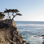 Captured on March 30,  2014, in 17 MILE DRIVE, USA. Photo: Andrew Gosine